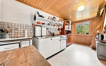 Vorschaubild 4 mit Text alle 19 Bilder zentral darüber gelegt